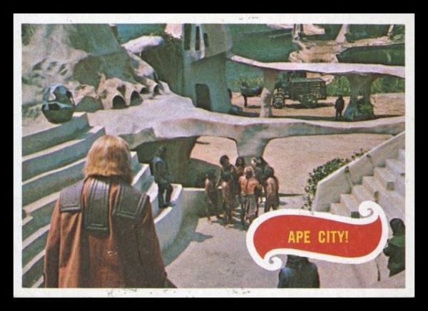 35 Ape City